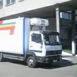 Перевозки автомобилем Renault