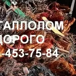  Куплю лом и отходы черных металлов от 300 кг.  