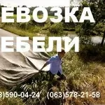 Перевозка мебели Киев.578 21-58.Перевезти мебель Киев.Услуги грузчиков