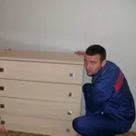 Грузчики не дорого .