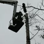 Аварийный спил деревьев (067)4475221,  удаление аварийных деревьев Киев