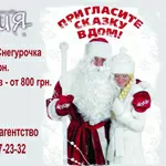 Заказ на дом или для корпоративов Деда Мороза и Снегурочки