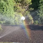 Автоматический полив