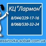 Гостиница для собак. Киев.