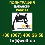 Открыты вакансии! Стабильная работа, обучение, рост. Киев.