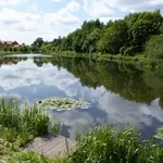 ОЧИСТКА ВОДОЕМА, ОЗЕЛЕНЕНИЕ ТЕРРИТОРИИ.