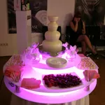 шоколадные фонтаны аренда и продажа