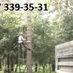 Удаление деревьев, снос домов. Уборка территории.