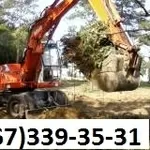 Планировка участка, вывоз мусора. Удаление пней, снос домов и стр