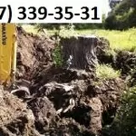 Расчистка участков, корчевание пей. Спил деревьев Киев.