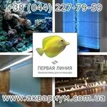 Заказать, купить Аквасистемы для интерьера, Аквариумы. Киев.