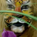 Курсы грима в Киеве, курсы гримеров Киев, обучение гриму, курсы грима