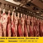 Мясо свинина и говядина оптом