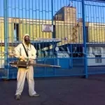 Комплексное уничтожение насекомых, грызунов.