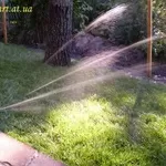 Полив,  газон,  удобрения,  детские площадки