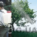 Устройство газона. 