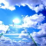 Помощь Рун в поиске ответов на вопросы. Просмотр ситуаций.