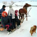 Туры в Карпаты на Новый год