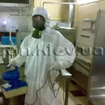 Уничтожение грызунов, насекомых.