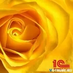 Продажа и внедрение 1С Бухгалтерия 8 под ключ с гарантией +БОНУСЫ