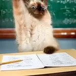 Сессия? Диссертации, Курсовые,  контрольные,  дипломы,  рефераты под заказ