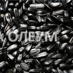 Уcлуги сушки зерна: кукурузы, сои, подсолнуха, рапса