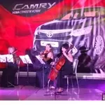 Живая музыка на праздник, струнный квартет