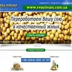 Соевый жмых 2015 Шрот макуха от 1 т Масло соевое