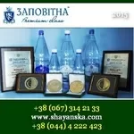 Шаянська 2015 Мінерально- кремнієва вода