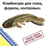 Комбикорм для выращивания сома, форели и осетровых.
