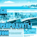 Рыба и морепродукты оптом от Торгового Дома Балтика