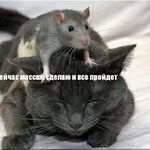 массаж общеоздоровительный, антицеллюлитный, депиляция