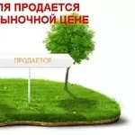 Лидерам крупных сетевых структур и сетевикам различных компаний на Укр