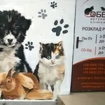 Художественная роспись стен