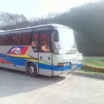 Комфортные пассажирские перевозки автобусами бизнес класса