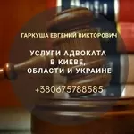 Адвокат в Киеве. Юридическая помощь