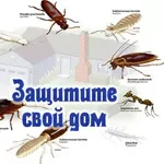 Уничтожение вредных насекомых, грызунов.