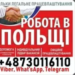 Операторы,  упаковщики,  продавцы,  кладовщики,  токари,  столяры,  М/Ж,  СП