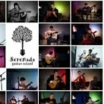 Школа гитары Serenada. Уроки гитары, курсы гитары, уроки игры на гитар