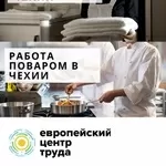 Работник отеля в Чехию