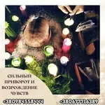 Приворот Сплетения Судьб Киев. Гармонизация Отношений Киев.