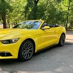 070 Кабриолет Ford Mustang желтый прокат посуточно