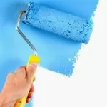 Покраска стен Киев Косметический ремонт 