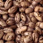 Купуйте сортову квасолю гуртом — якість, підтверджена досвід