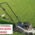 Покіс трави: Київ,  Київська область та Біла Церква. Швидко,  якісно,  до