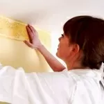 Послуги маляра Теремки Борщагівка