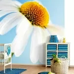 Ремонт квартир в Киеве