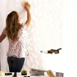 Поклею обои Троещина Оболонь Дарница 