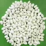 Насіння,  посівмат квасолі сортів Неві Бінс,  Червона довга,  Пінто,  Черв