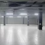 Оренда комерційного приміщення